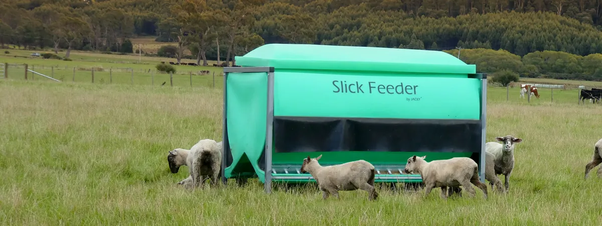 Slick Feeder Learning Centre