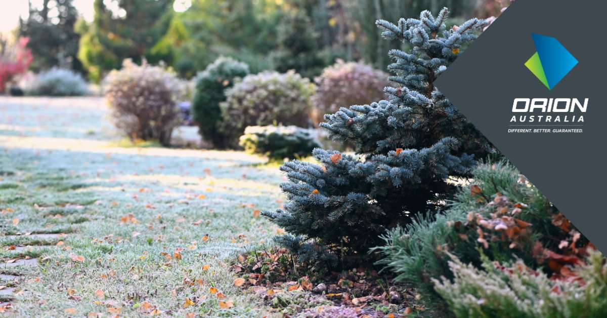 Blog Tile garden