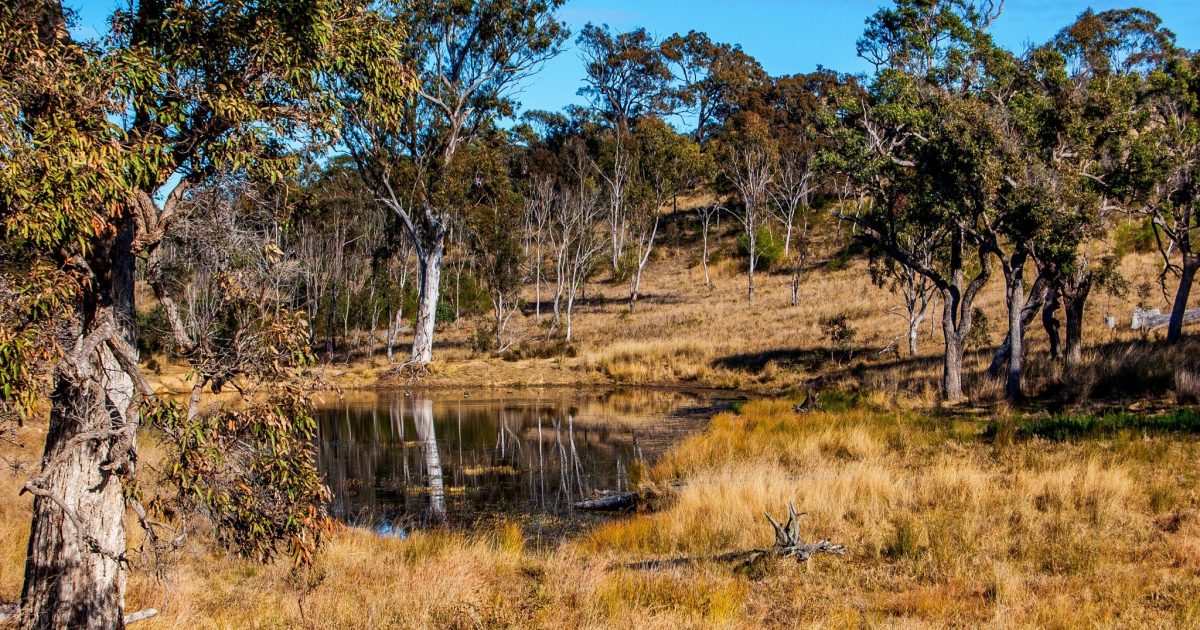 Water Conservation Series – Geothermal Springs