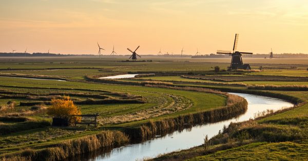Netherland creek through field