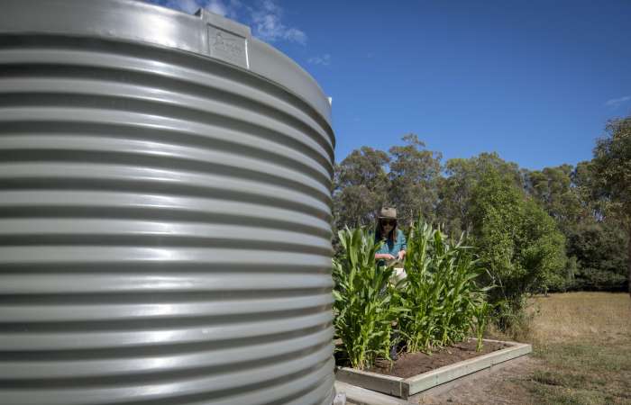 Orion Rainwater corrugated tank on rural property with garden bed