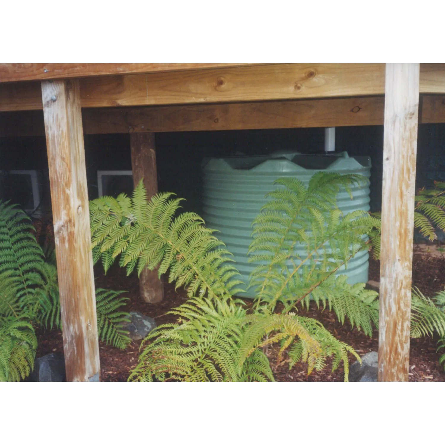 1100 Ltr Corrugated Rainwater Tank placed under deck with ferns rocks and pine bark