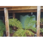 1100 Ltr Corrugated Rainwater Tank placed under deck with ferns rocks and pine bark