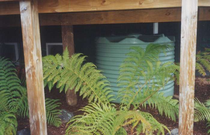 1100 Ltr Corrugated Rainwater Tank placed under deck with ferns rocks and pine bark
