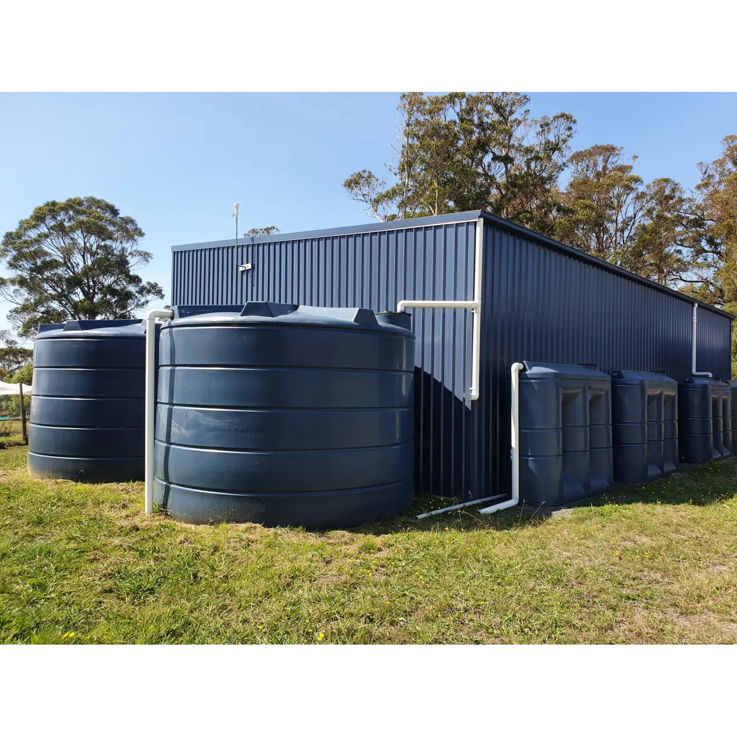 Two 22000 Ltr Panelled Wall Rainwater Tanks next to flat roof shed complemented by three smaller slimline tanks