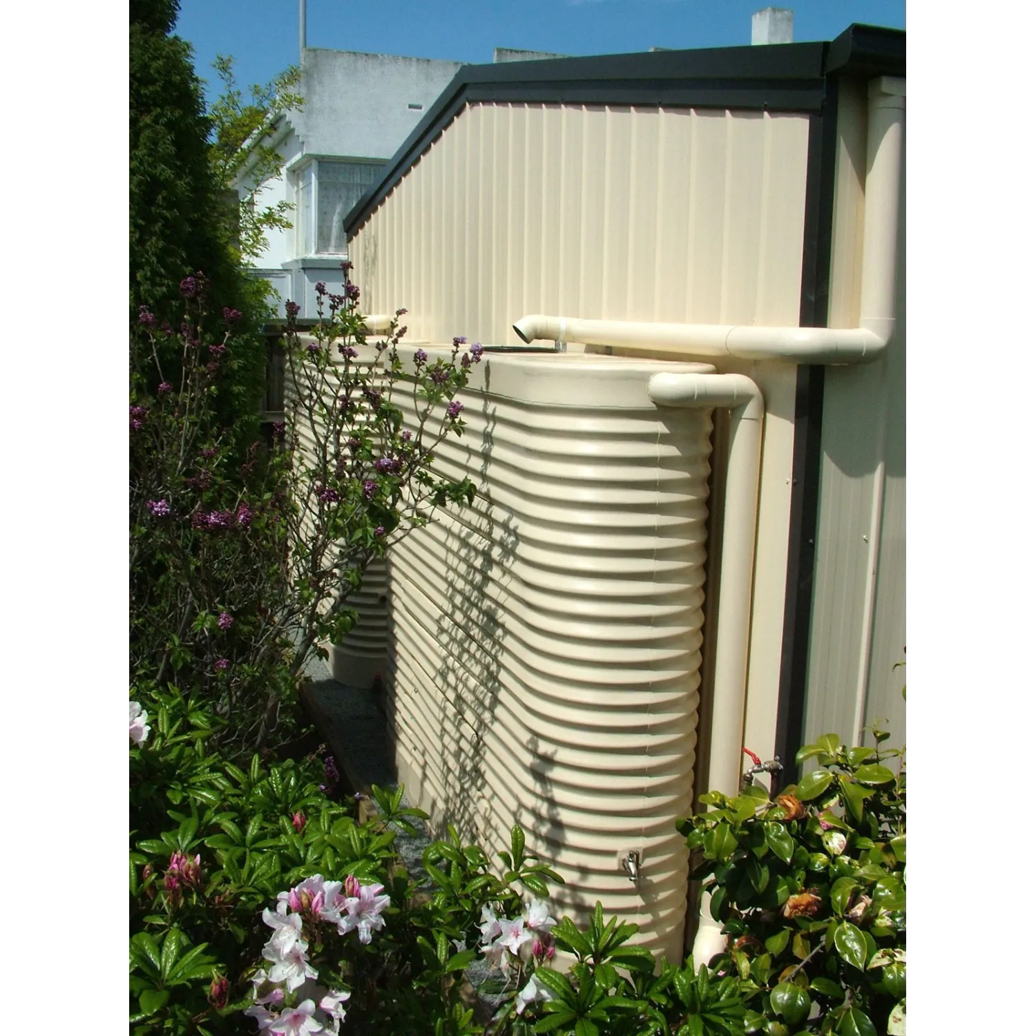 Two 2000 Ltr Corrugated Slimline Tanks hiding away in a secret garden behind shed to utilise limited space