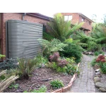2000 Ltr Corrugated Slimline Tank in Jasper fitting in to a home garden with ferns