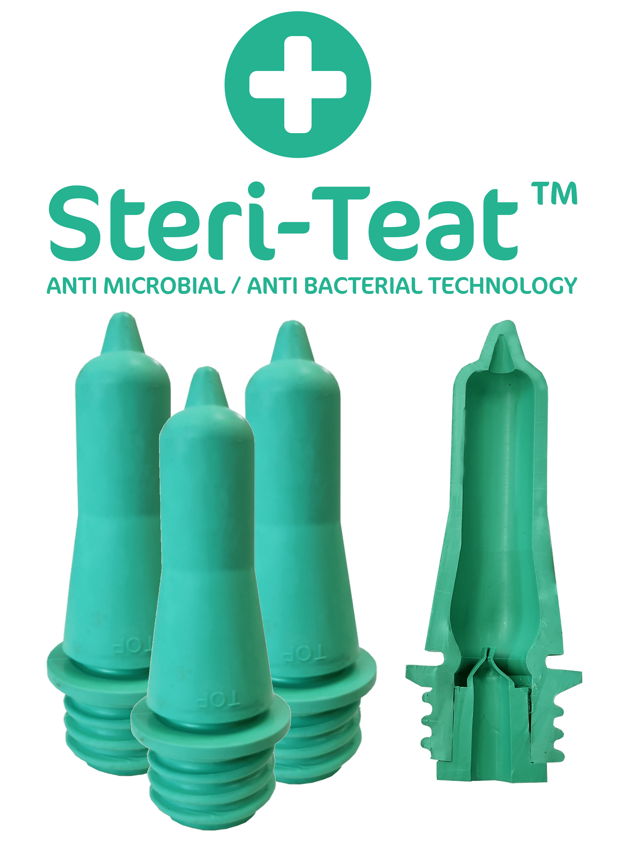 Steri Teat