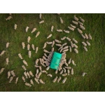 Aerial of Lambs eating from Slick Feeder
